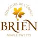 Logo Brien