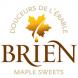 logo Brien